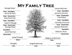 my family tree